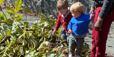 The Toddler Community